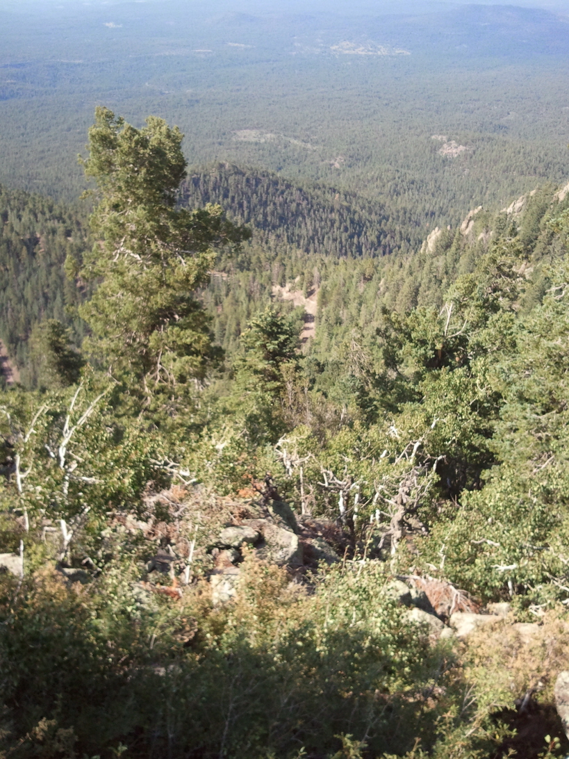 2012-08-1909
