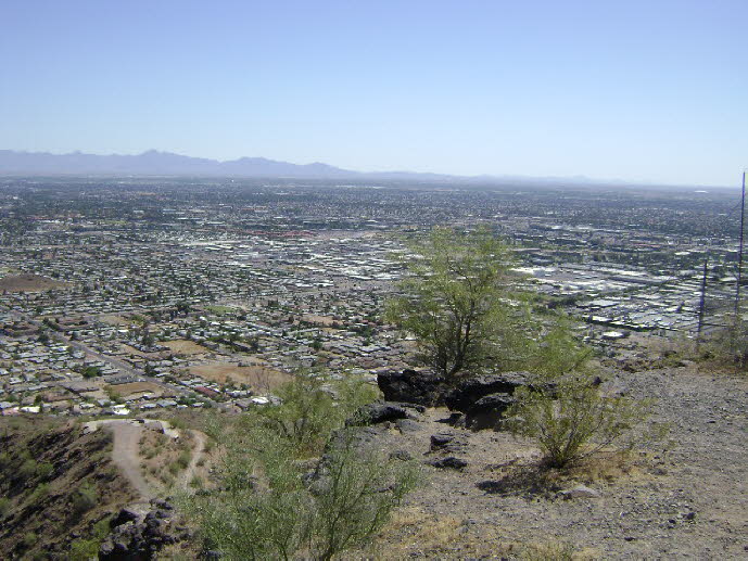 DSC00316