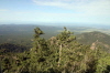 IMG_0023